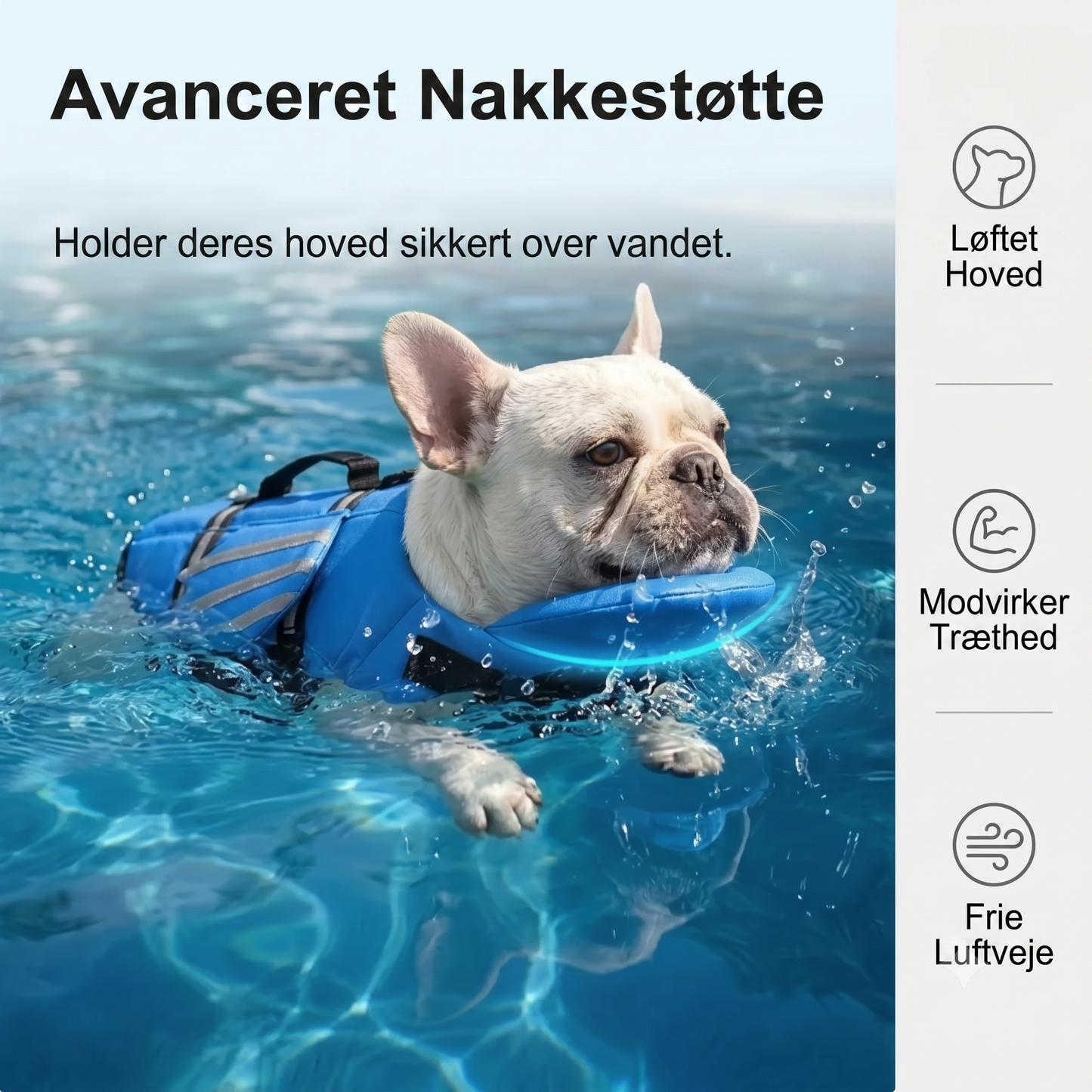 Hundefredningsvest med englevinger