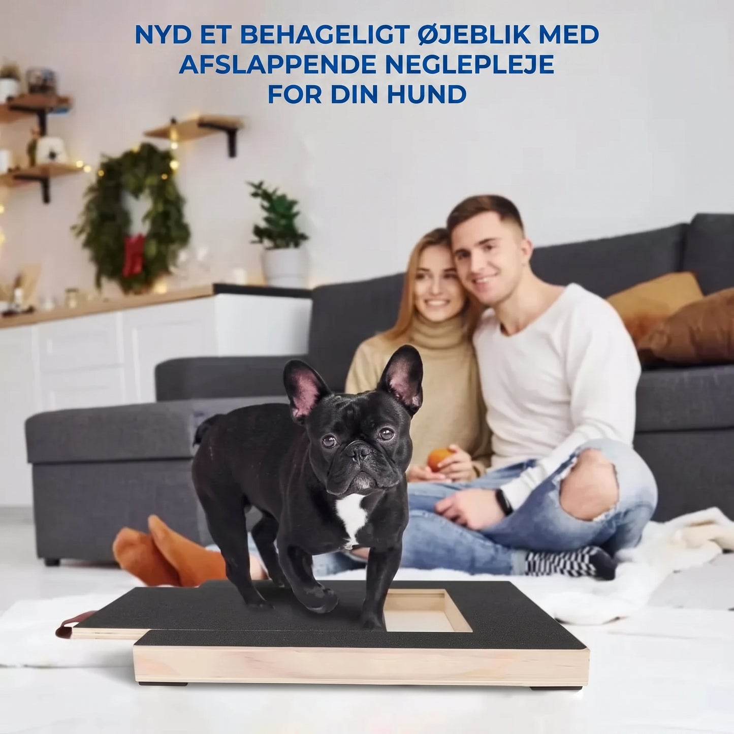 Kradsbræt i træ til hundekløer med godbidsrum