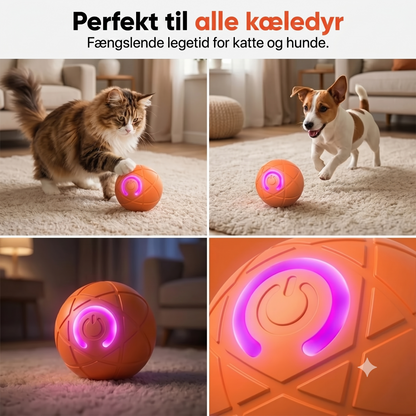 Automatisk hoppebold til kæledyr