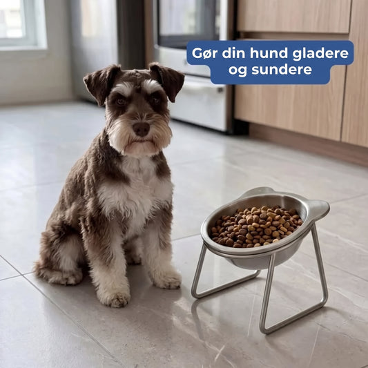 Ergonomisk hævet foderskål til kæledyr