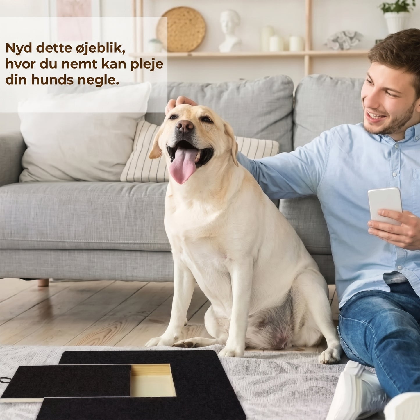 Kradsbræt i træ til hundekløer med godbidsrum