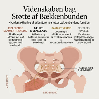 Modstandstræner til bækkenbund og inderlår